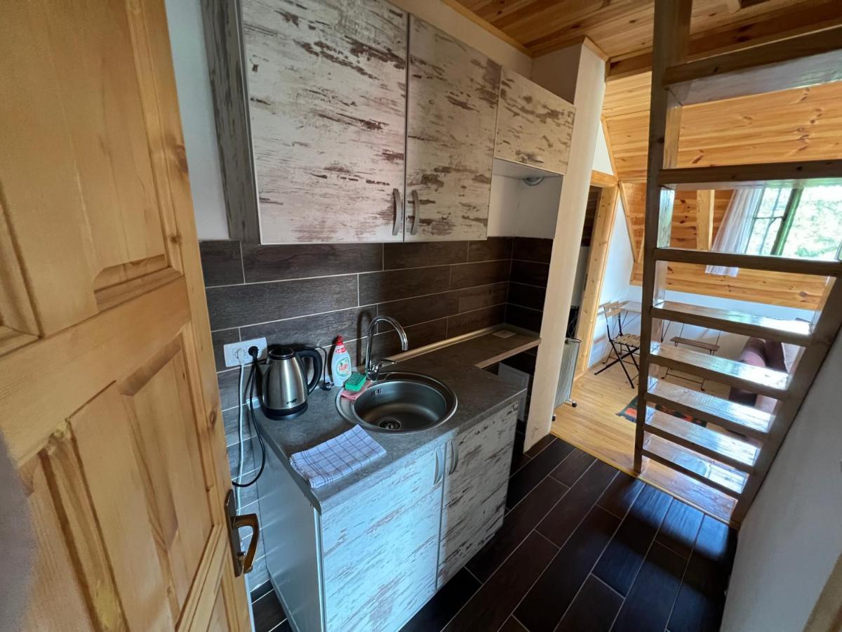 זבליאק Dormire Apartmans מראה חיצוני תמונה